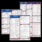Labor Law Posters