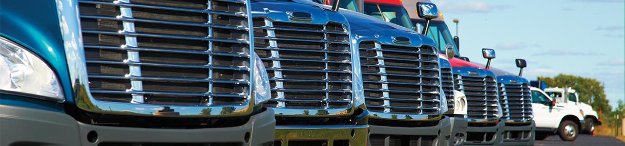 USDOT/MC Number Service