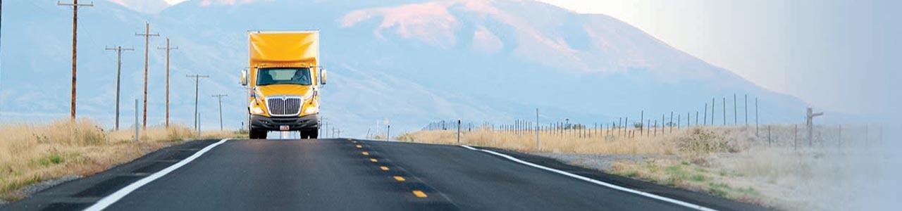 DOT Authority Monitoring Service